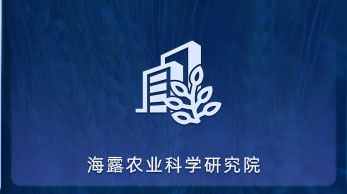 �Ϲ�NG28ũҵ��ѧ����Ժ