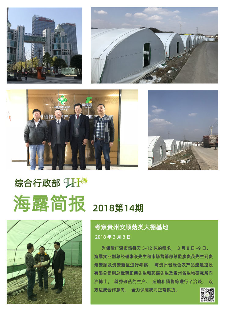 ��ҳ- �Ϲ�NG28�������ֹٷ���վ