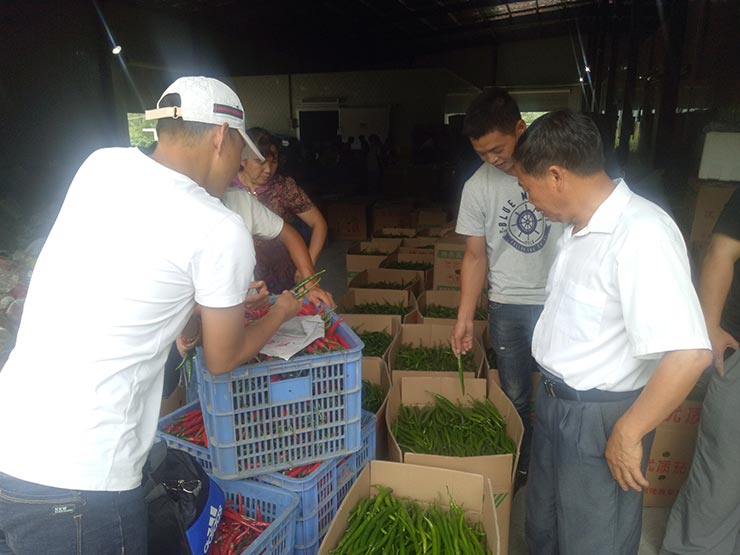 ��ҳ- �Ϲ�NG28�������ֹٷ���վ