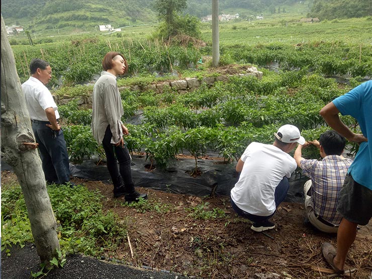 ��ҳ- �Ϲ�NG28�������ֹٷ���վ