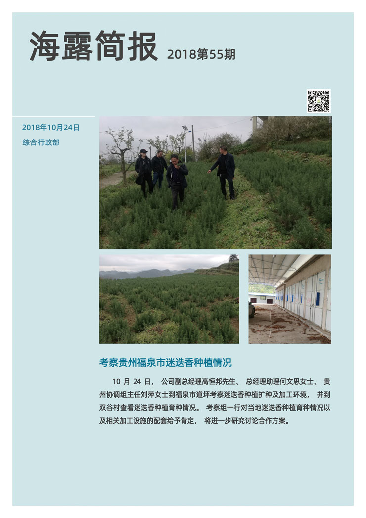 ��ҳ- �Ϲ�NG28�������ֹٷ���վ