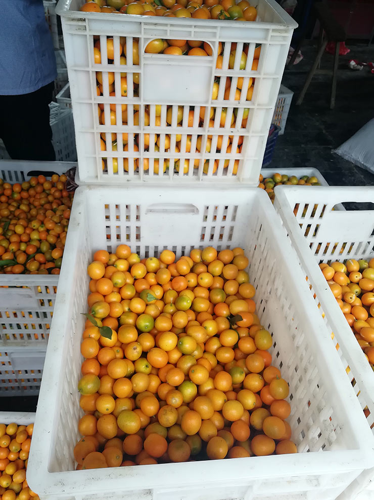 ��ҳ- �Ϲ�NG28�������ֹٷ���վ