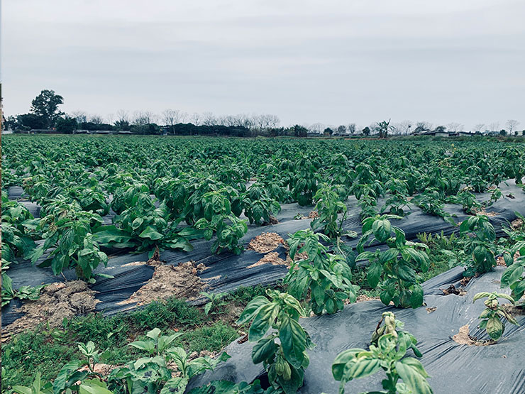 ��ҳ- �Ϲ�NG28�������ֹٷ���վ