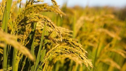 ��ҳ- �Ϲ�NG28�������ֹٷ���վ