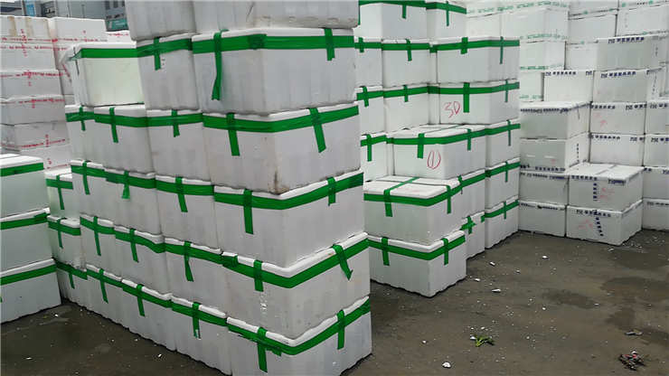 ��ҳ- �Ϲ�NG28�������ֹٷ���վ