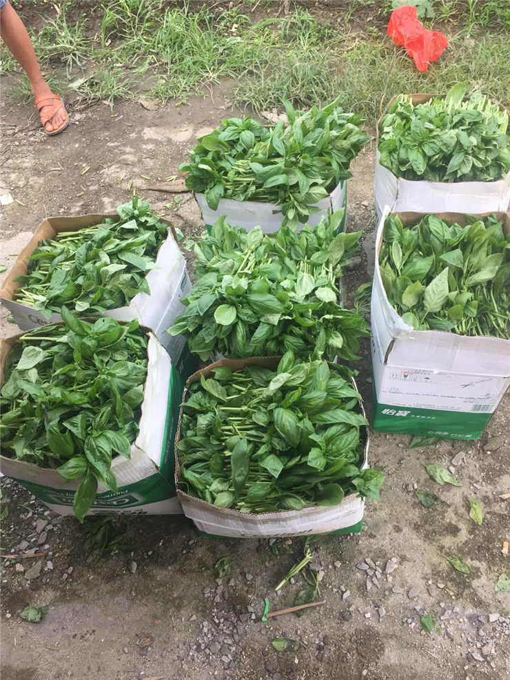 ��ҳ- �Ϲ�NG28�������ֹٷ���վ