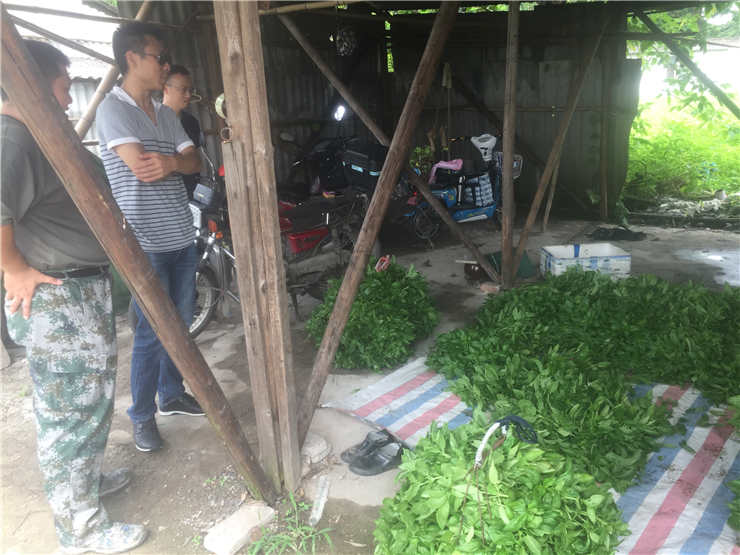 ��ҳ- �Ϲ�NG28�������ֹٷ���վ