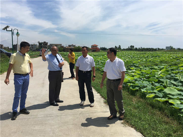 ��ҳ- �Ϲ�NG28�������ֹٷ���վ