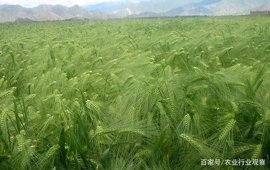 ��ҳ- �Ϲ�NG28�������ֹٷ���վ