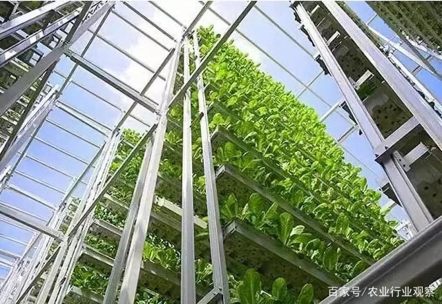 ��ҳ- �Ϲ�NG28�������ֹٷ���վ