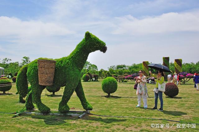 ��ҳ- �Ϲ�NG28�������ֹٷ���վ