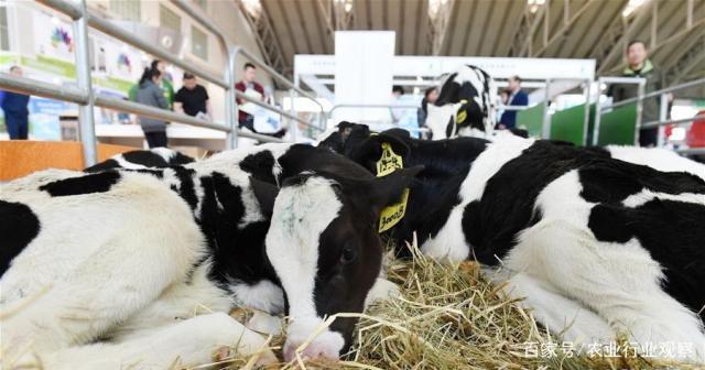 ��ҳ- �Ϲ�NG28�������ֹٷ���վ