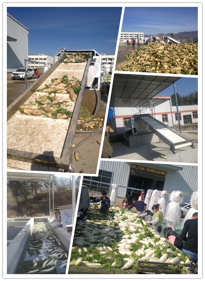 ��ҳ- �Ϲ�NG28�������ֹٷ���վ