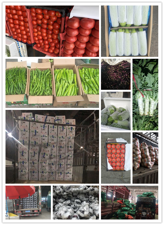 ��ҳ- �Ϲ�NG28�������ֹٷ���վ