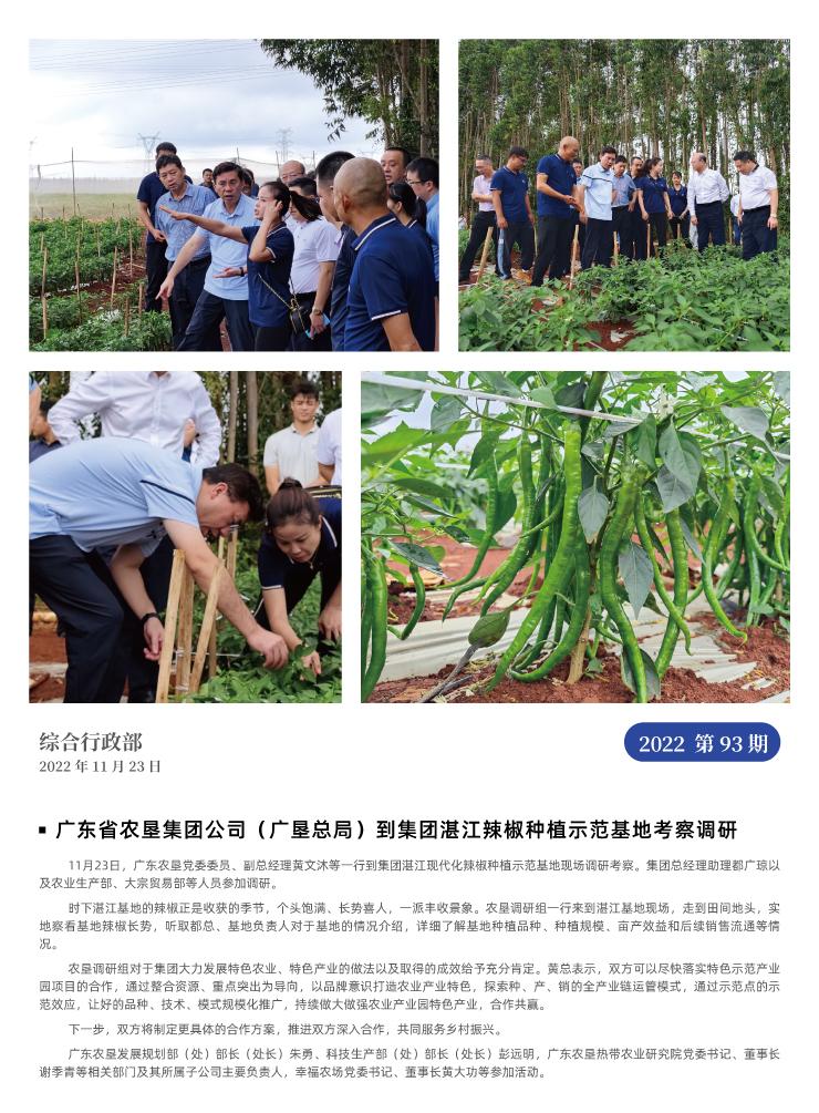 ��ҳ- �Ϲ�NG28�������ֹٷ���վ