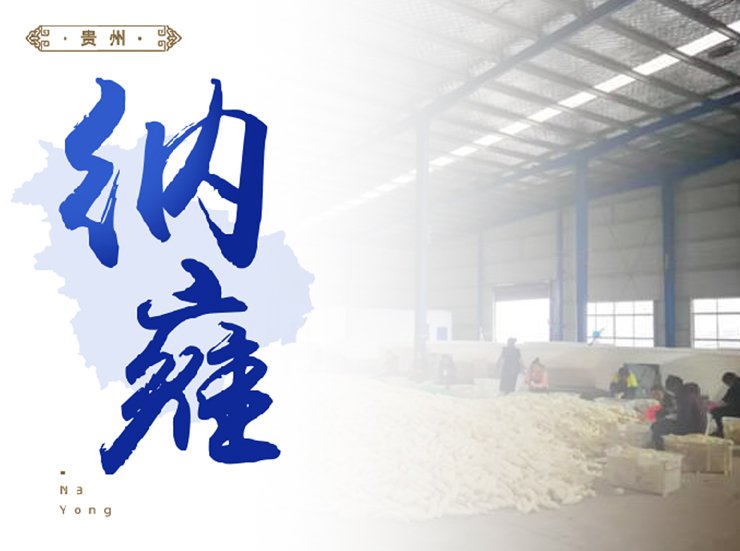 ��ҳ- �Ϲ�NG28�������ֹٷ���վ