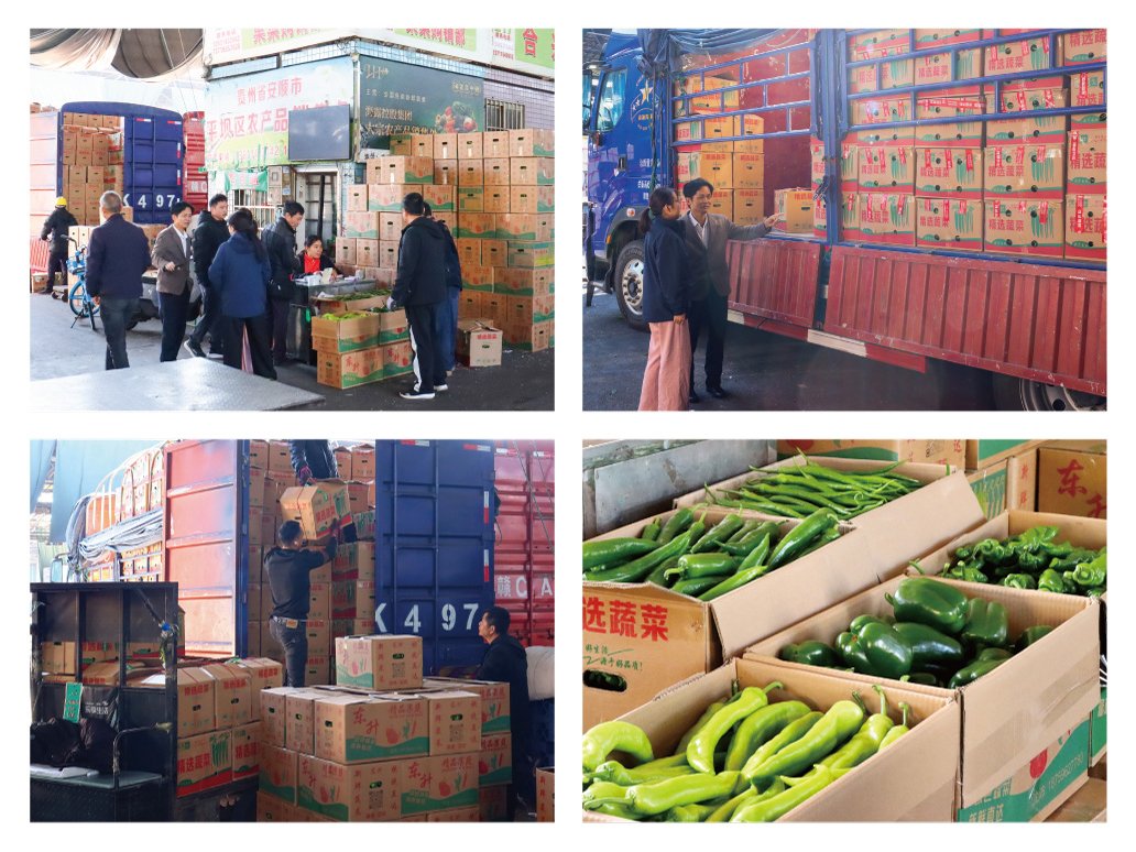 ��ҳ- �Ϲ�NG28�������ֹٷ���վ